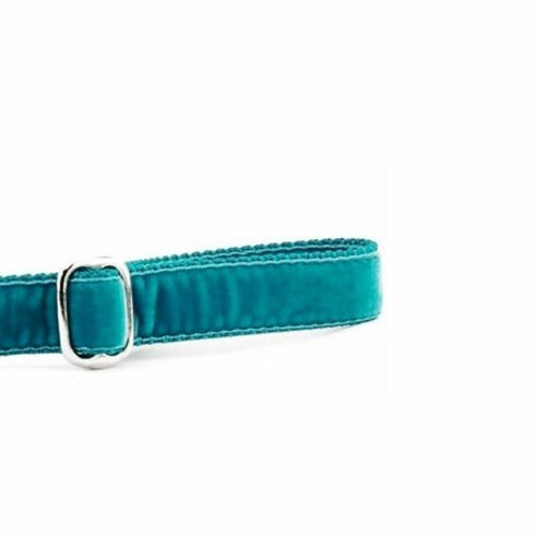 2Hounds Design Teal Velvet Dog Leash 6' - Poudre Pet & Feed Supply 2